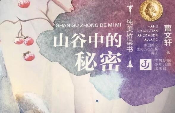 争做质朴少年-《山谷中的秘密》读后感300字.jpg