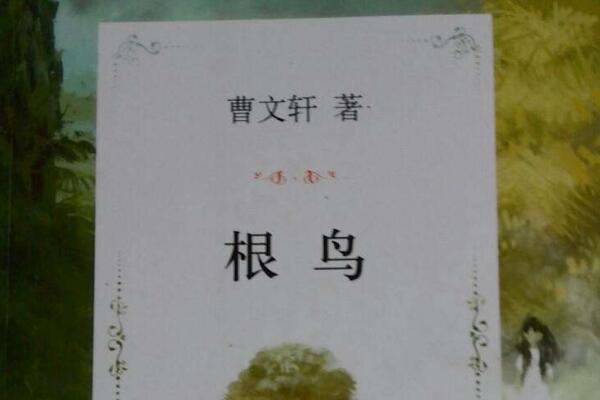 񡷶500.jpg